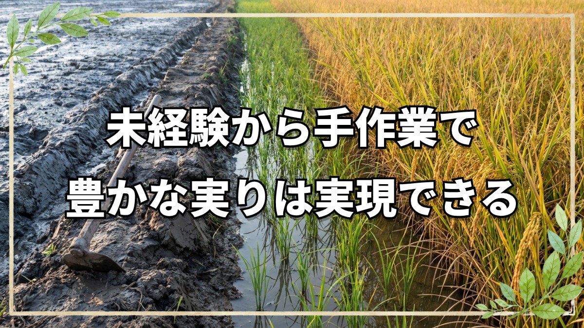 未経験から自然栽培で米の反収12俵を達成