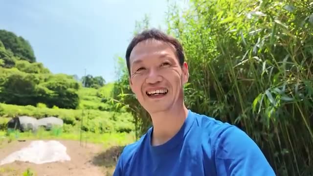4. 知っておくべき欠点と実践のポイント