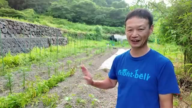 1. 草マルチがもたらす4つの大きなメリット