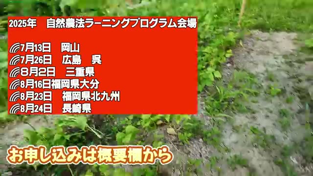 2. ガチガチの粘土質でも育つ土の力と、あえて「草を生やす」再生術