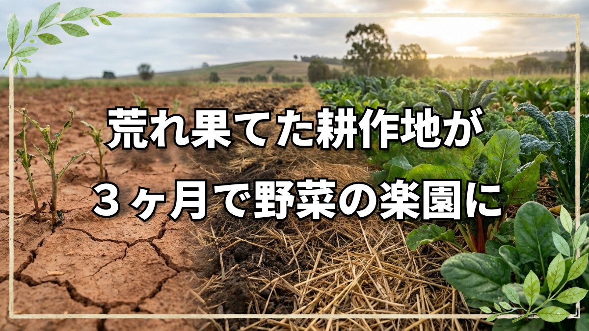 ３ヶ月で耕作放棄地が野菜の楽園に再生