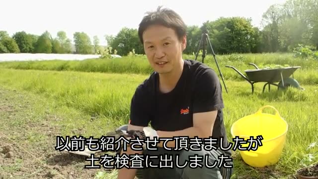 自然栽培10年目の土壌検査結果と粘土質土壌の扱い方