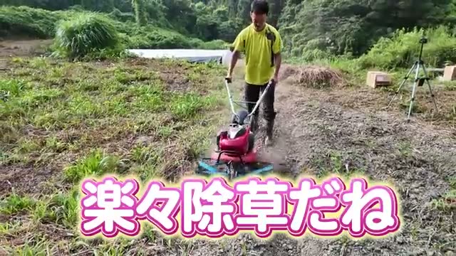 硬い未耕起地と耕起済みの土での比較