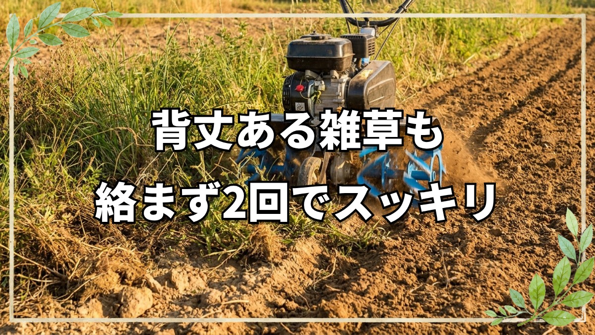 【自然栽培】小型耕運機のアタッチメント「ブルースパイラル」の除草能力と活用法