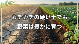硬い土でも大丈夫!自然栽培の土への向き合い方