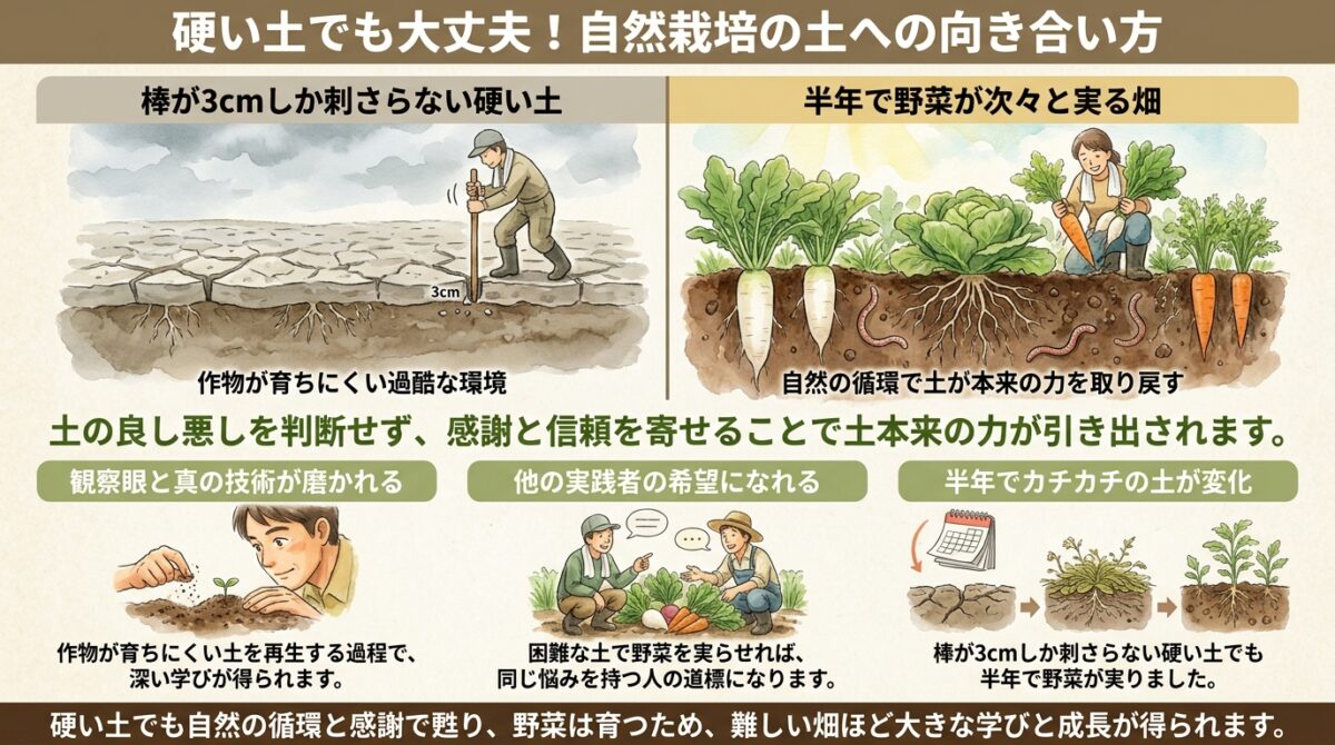 硬い土でも大丈夫!自然栽培の土への向き合い方