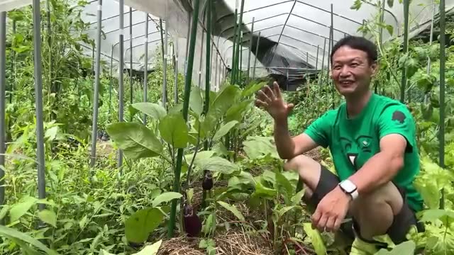 ビニールハウスは反自然的か?