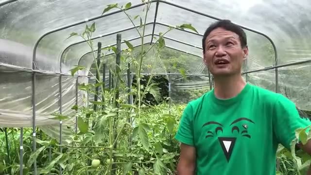 今橋流・自然農法の基本は極めてシンプル