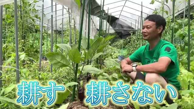 「耕す」or「耕さない」どちらが正解?