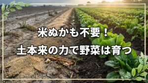 米ぬかは不要？耕起論争のシンプルな答え