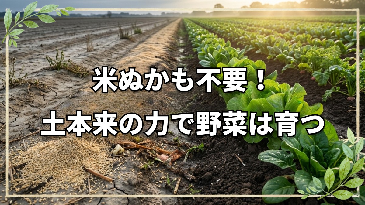 米ぬかは不要？耕起論争のシンプルな答え