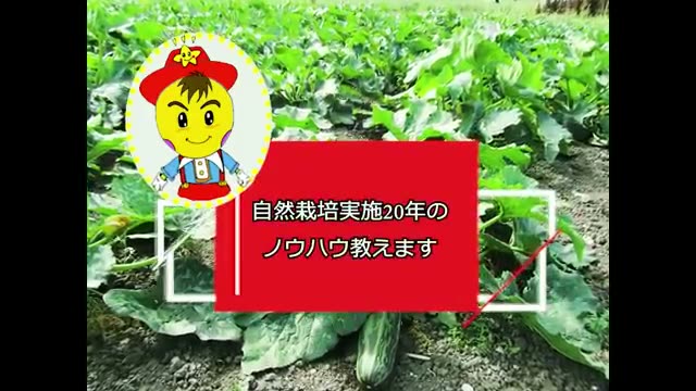 1. 耕作放棄地の現状把握と安全確保