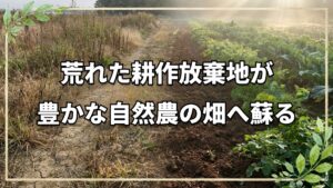 耕作放棄地から始める自然栽培の開墾術