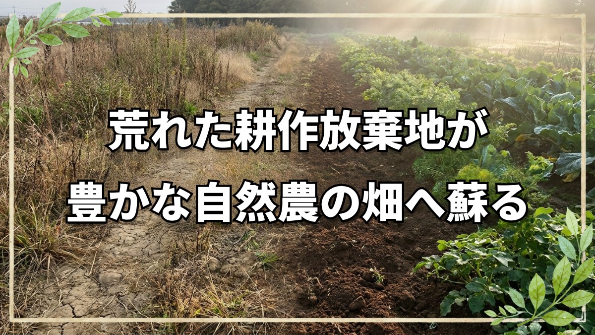耕作放棄地から始める自然栽培の開墾術