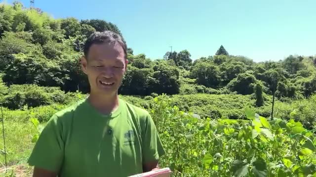 3. 自然栽培で最も肝心なこと：根伸び（根張り）を良くする