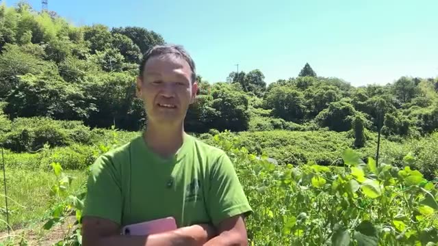4. 迷ったら「植えてみる」と「強健な作物を頼る」