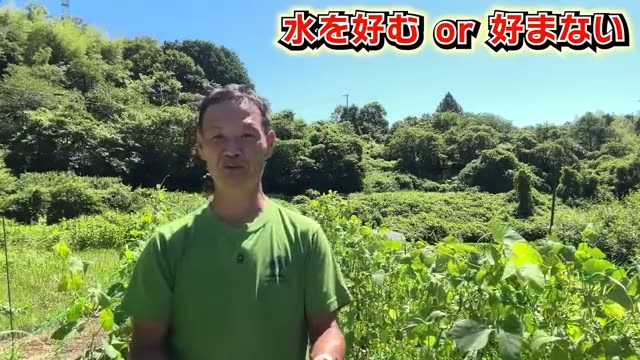 2. 水分を「好む野菜」と「嫌う野菜」