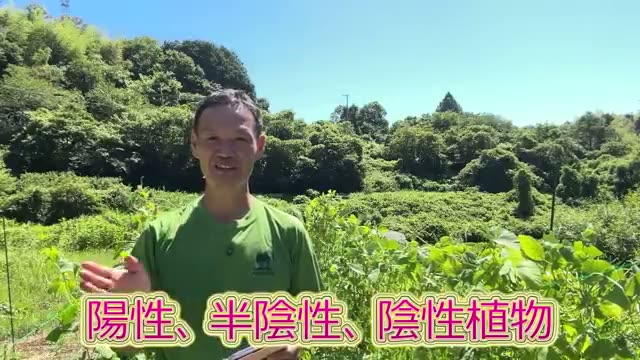 1. 日光の量に合わせた配置（陽性・半陰性・陰性植物）