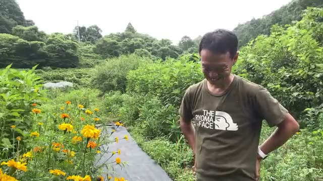 「高温多湿」という土地の個性をどう捉えるか