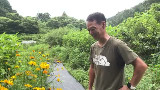 自然農法の根本:「収穫をお許しいただく」という謙虚な心