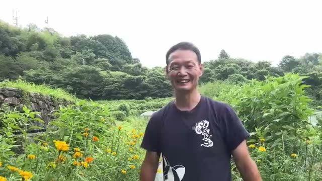シートや黒マルチを使う際の注意点