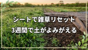 シートで雑草リセット!自然栽培の活用術