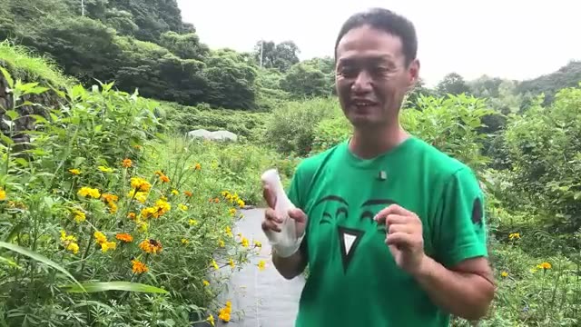 今後の情報発信とメンバーシップ限定の質疑応答企画