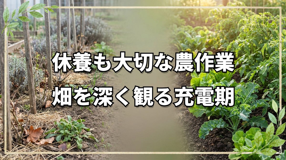 農作業中の指の怪我と休養が教える学び