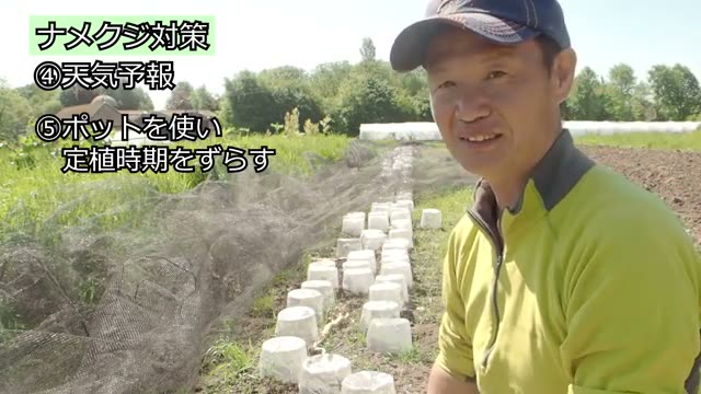 7. 好む野菜を把握して日陰への作付けを避ける
