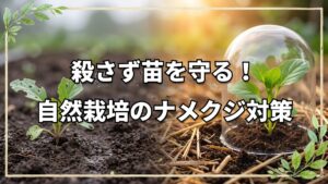 【自然栽培】ナメクジの食害を防ぐ8つの方法と向き合い方