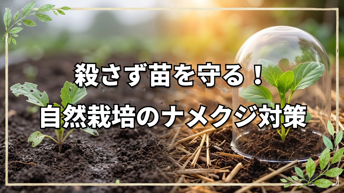 【自然栽培】ナメクジの食害を防ぐ8つの方法と向き合い方
