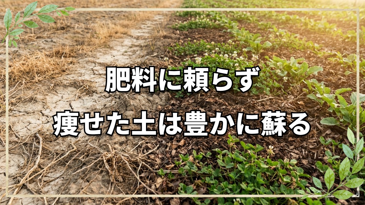 痩せた土を再生する自然栽培の知恵
