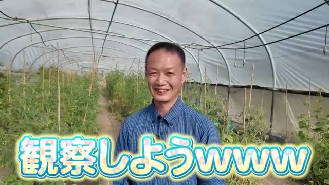 まずは前年との違いを丁寧に観察する