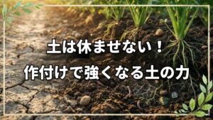 土は休ませない方が強くなる理由