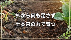 自然農法テストで学ぶ基本理念と判断基準