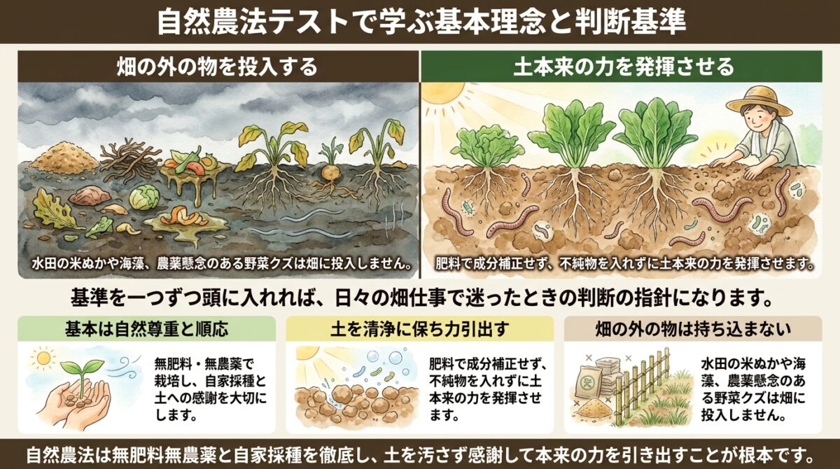 自然農法テストで学ぶ基本理念と判断基準