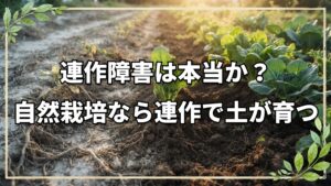 連作障害は存在しない?自然栽培の連作