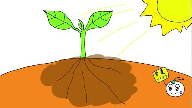 3. 植物と微生物の共生メカニズム:なぜ自然栽培で土が良くなるのか?
