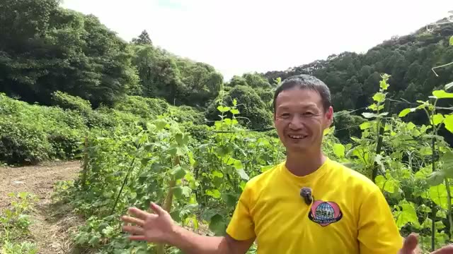 限界の瞬間に現れた「自然からの応援」