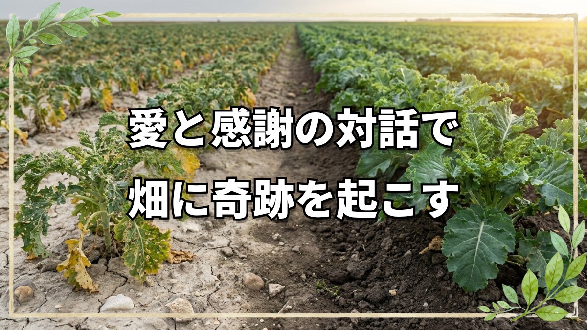 愛と感謝で奇跡を起こす自然栽培の対話法
