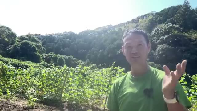 なぜ「畑」が精神文明を高めるのか