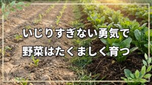 野菜ができない・時間がない!そんな悩みを吹き飛ばす「自然栽培」の智慧