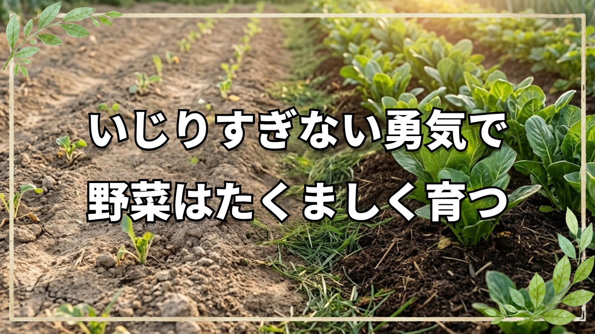 野菜ができない・時間がない！そんな悩みを吹き飛ばす「自然栽培」の智慧