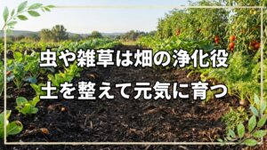 自然栽培における虫や雑草の役割とは?自然発生の視点から考える生態系の不思議