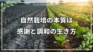 【自然栽培】自然農法は「生き方」そのもの。見えない想念の浄化と心の在り方
