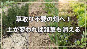 草取り不要になる？究極の雑草対策