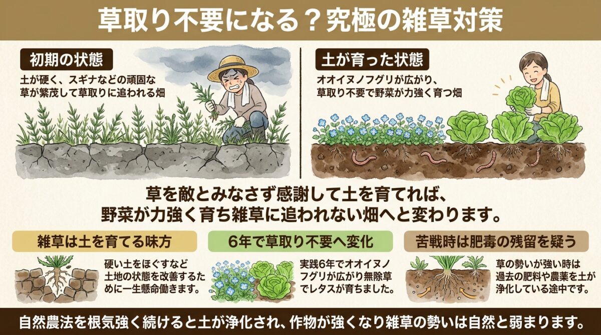 草取り不要になる?究極の雑草対策