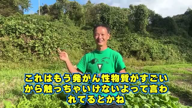 自然の適応力と科学に対する向き合い方