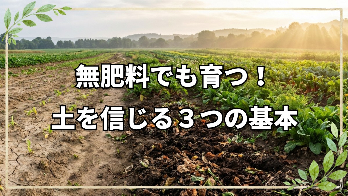 自然農法で野菜が育つ3つの基本