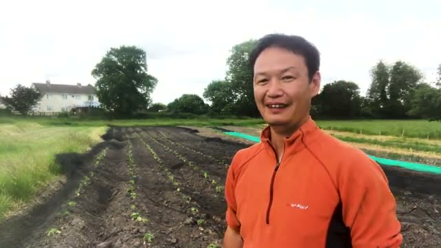 連作9年目に起きた異変と購入種による病気